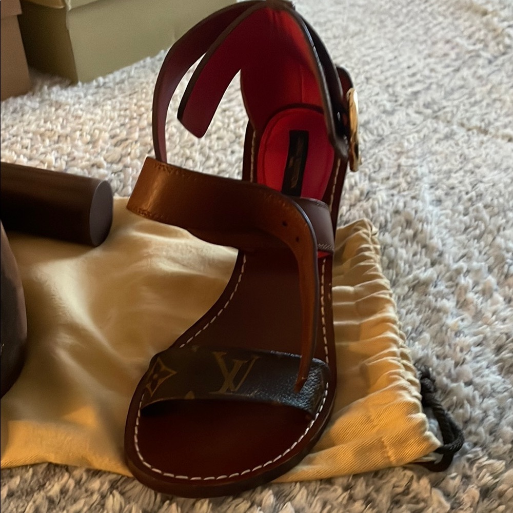 Louis Vuitton Brown Heels with T-Strap Design